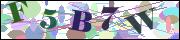 capcha