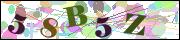 capcha